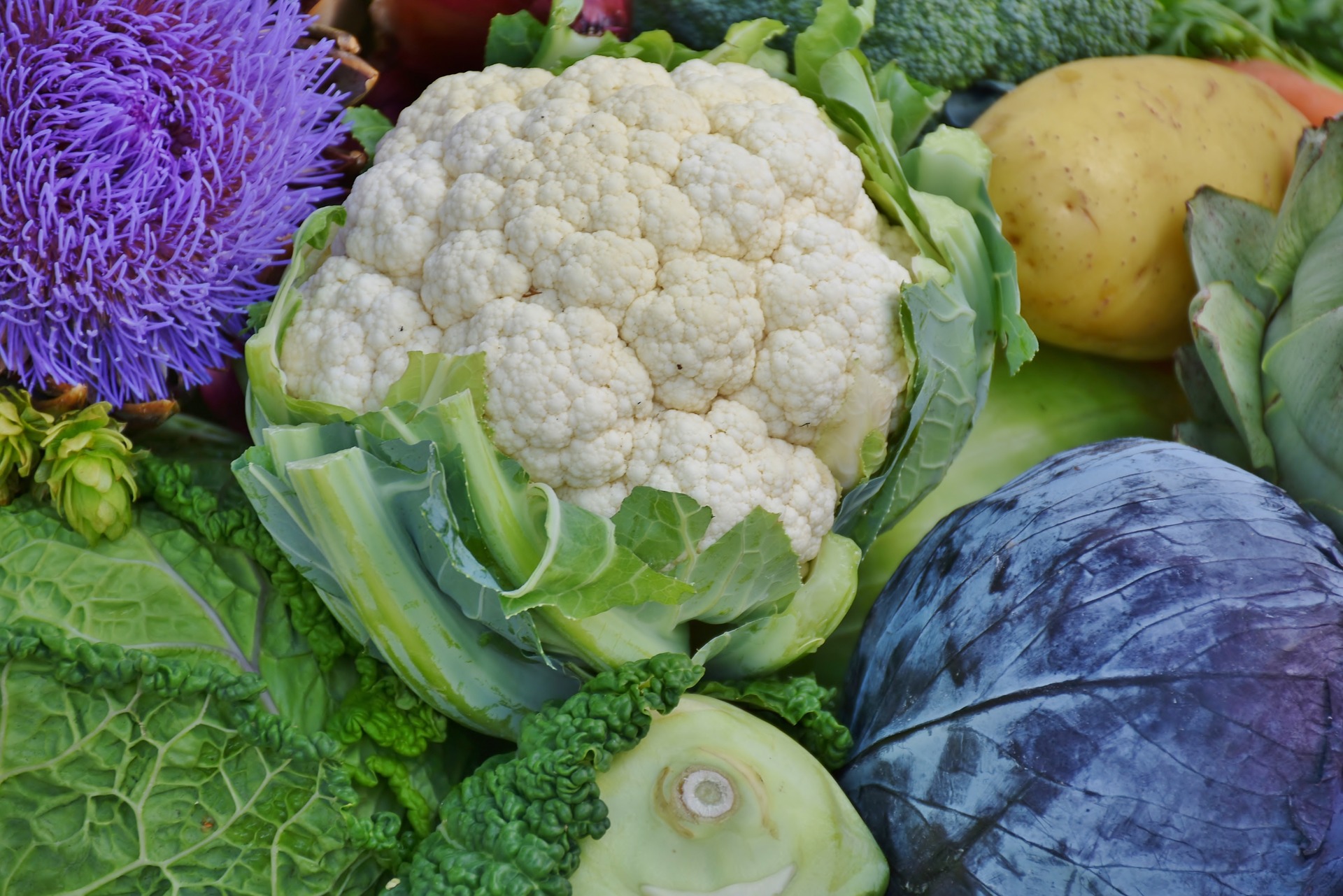 Jonas’ cauliflower and kidney bean salad