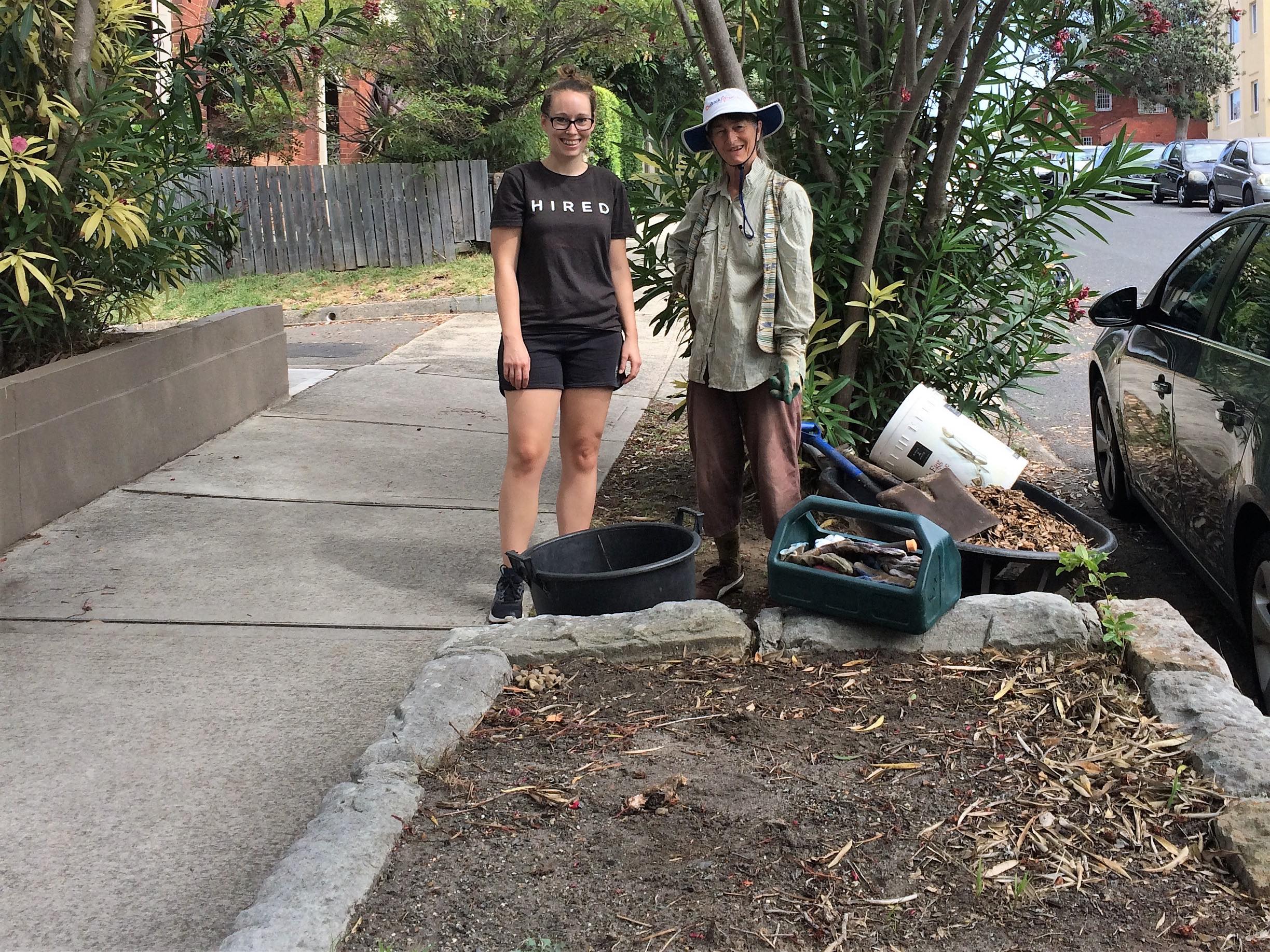 A Bondi verge garden is restored to health