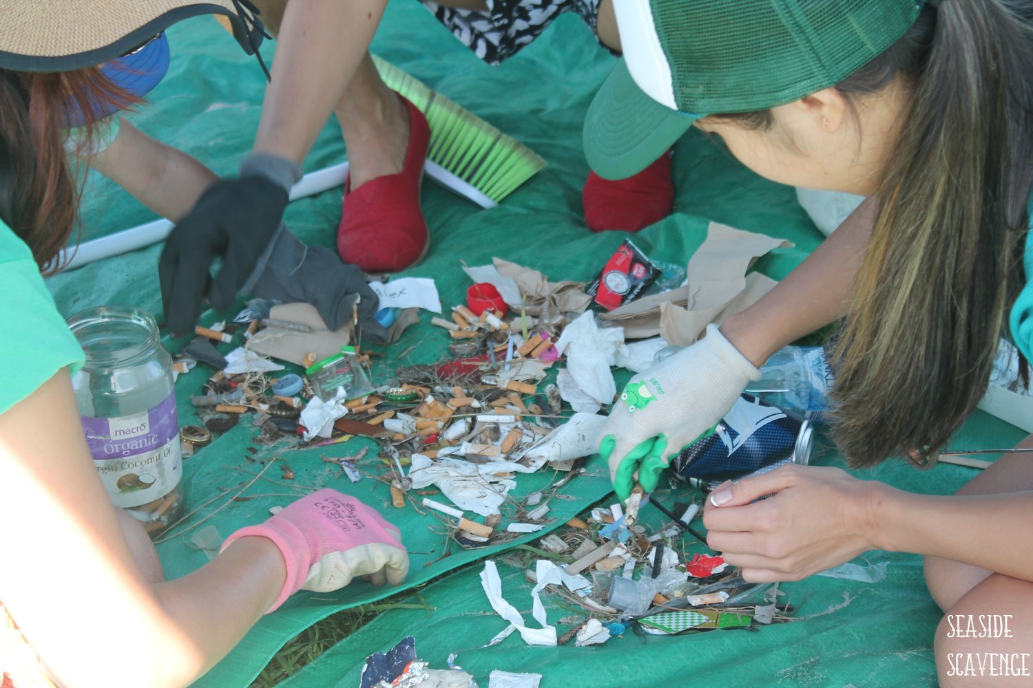 Bondi Blitz Festival and Coogee Beach Clean Up