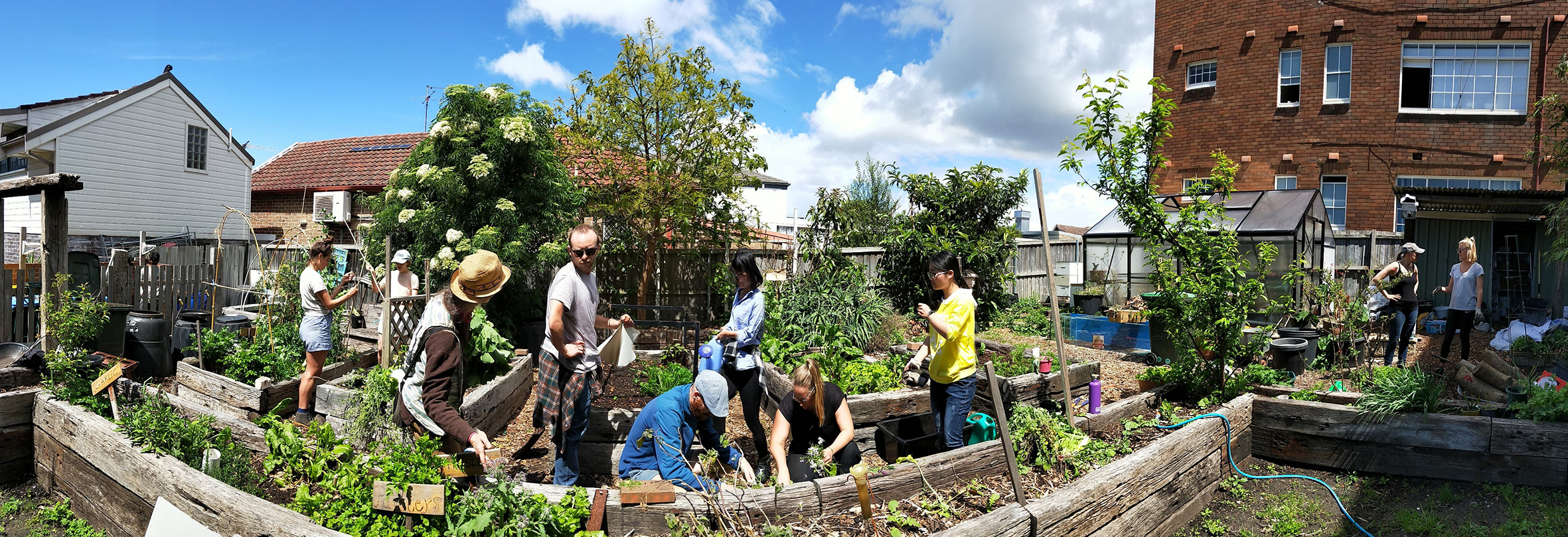 Learning and Practicing Rotational Planting in the Community Garden