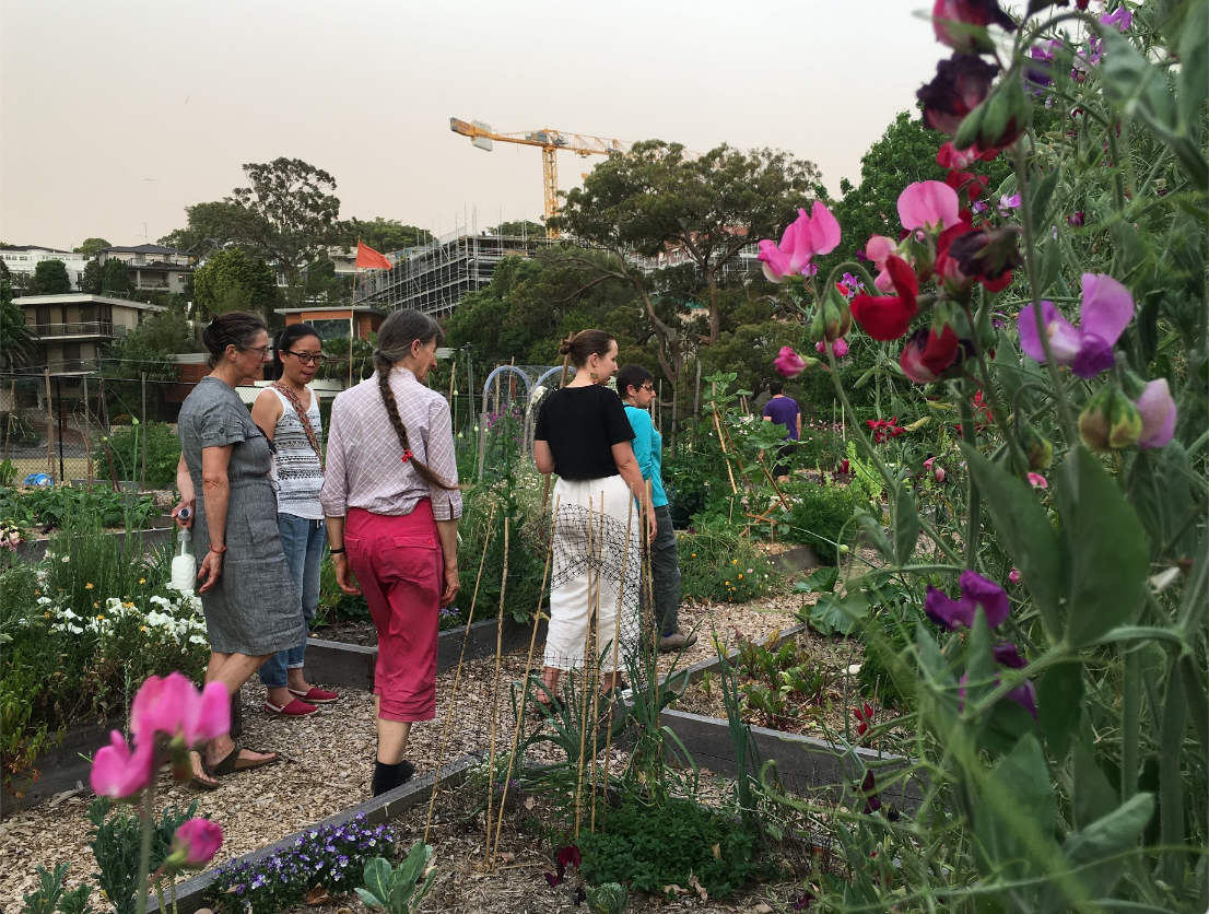 Cooper Park Community Garden a Poem by Jade Peace