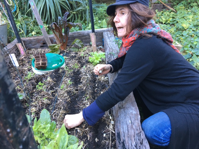 Soil Winter Garden