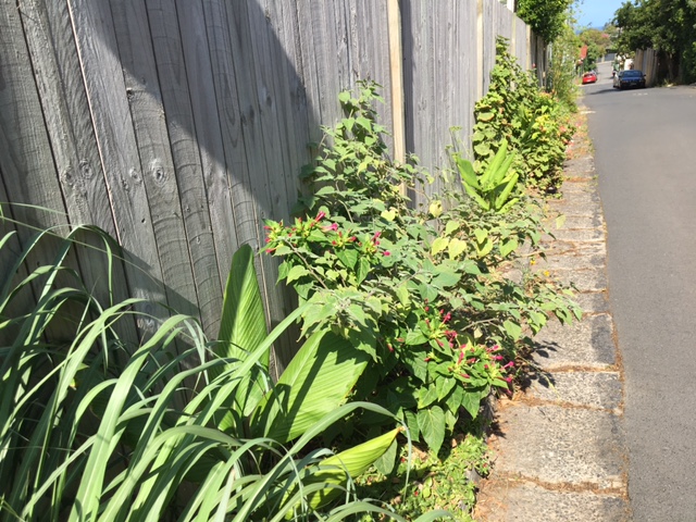 Reclaim Our Abandoned Verge Gardens