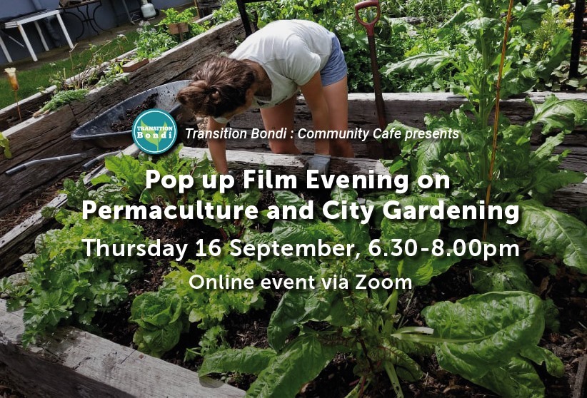 pop up film evening on permaculture and city gardening transition bondi