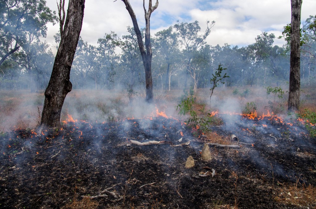 Fire (Image from coolaustralia.org)