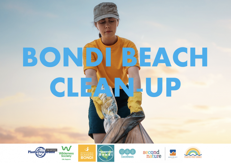 Summerama Beach Clean-Up