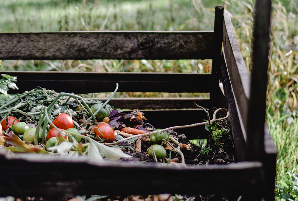 Food scraps to fertiliser