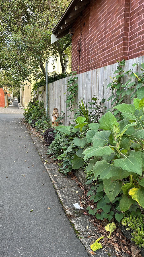 LIFE IN THE LANEWAY/SLOW LANE