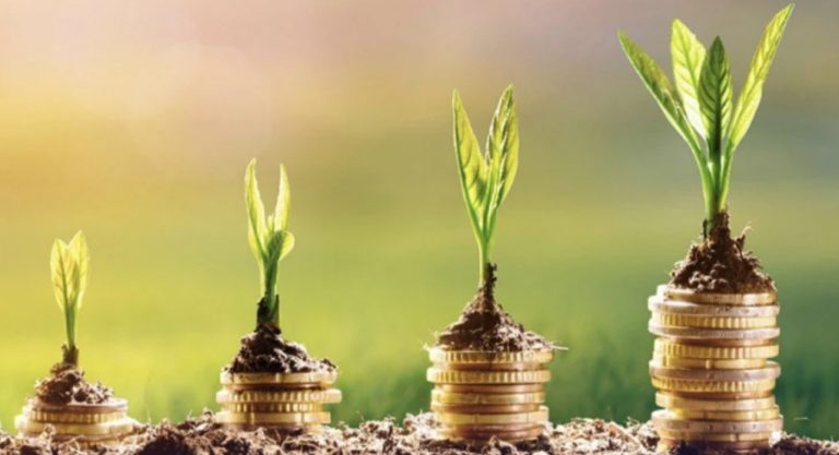 GUEST DINNER & CONVERSATION: Ethical Investment – how to ditch dirty money to help the planet – With Stav Zotalis and Brooke Thompson