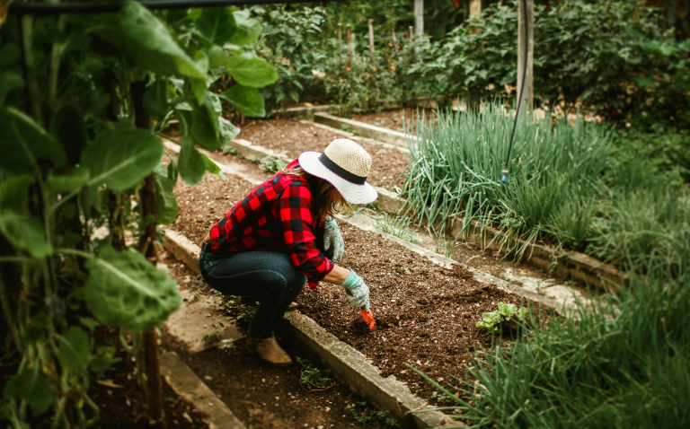 2025 GUEST DINNER – A Permaculture story