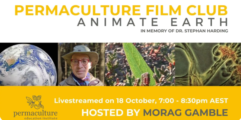 2025 SATURDAY FILM CLUB